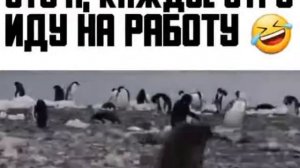 Это я иду каждое утро иду в школу