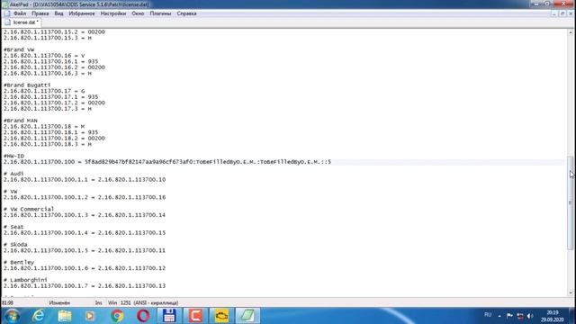 Китайская версия VAS 5054A, обзор, установка ODIS 5.1.6. смотреть онлайн