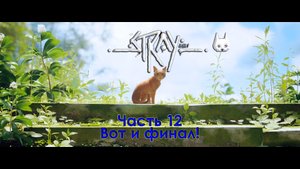 Stray. Часть 12. Вот и финал!