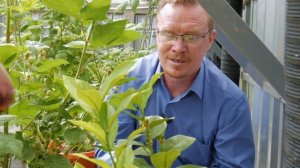 Биовегетарий в деле. Технологии БиоДома. Умная теплица. (Выпуск №3)