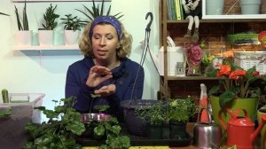 Удобрения длительного действия. Дачные сезоны с Мариной Рыкалиной
