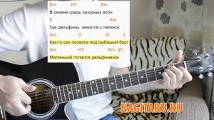 Дворовая - Дельфиненок. Легкие аккорды и разбор _ Песни под гитару