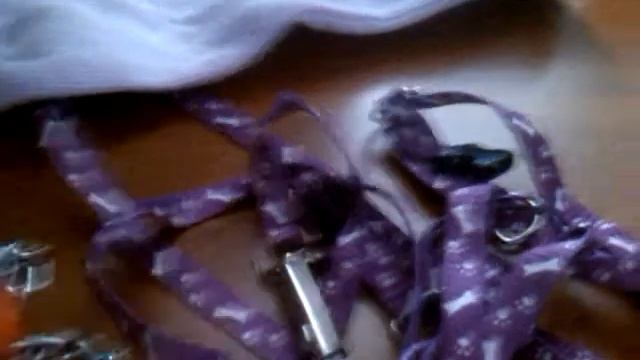 новинки из зоомагазина:шлейки поводки и лакомства. смотреть онлайн