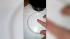 Посев сельдерея на рассаду