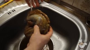 Как приготовить вяленое мясо в домашних условиях. Рецепт билтонга.