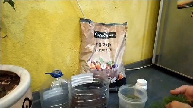 Ель черенкование смотреть онлайн