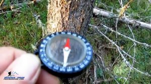 КАК ОПРЕДЕЛИТЬ СЕВЕР. ОРИЕНТИРОВАНИЕ ПО СМОЛЕ НА ДЕРЕВЬЯХ. Способы ориентирования на местности