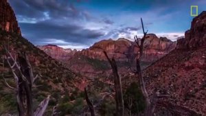 Моя СВОБОДА!