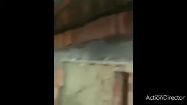 #Mayak bizdən, #suvaq sizdən(izahı videoda) 0773700114?0703500114? #mayak #suvağ #ağdağ #suvaqçı смотреть онлайн