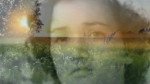 Полынь - трава. Исполняет Ольга Воронец.