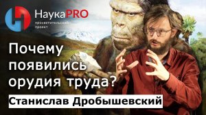 Почему древние люди начали изготавливать орудия труда? – Станислав Дробышевский | Научпоп | НаукаPRO