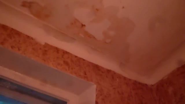 Протечка на потолке кухни 04.09.13 смотреть онлайн