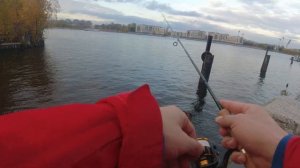 #287 | #Street fishing | Смоленка & Нева | Ловим окуней |