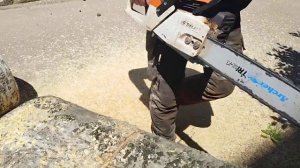 Режем тополь бензопила Stihl ms361 цепь Dolmar