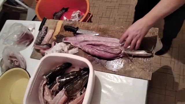 Разделка щуки на фарш от мастера... смотреть онлайн