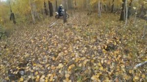 Покатушка. Уход от ДПС на ПИТБАЙКАХ!!!