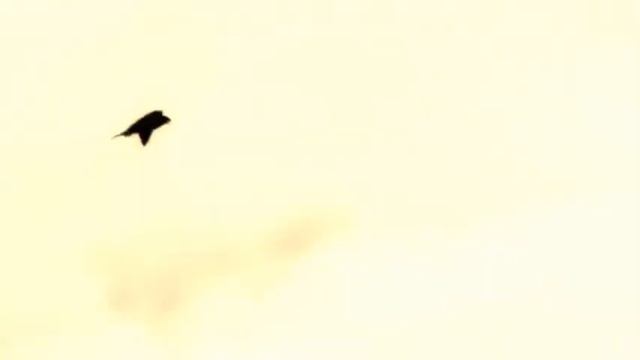 Михаил Лермонтов. Желание смотреть онлайн