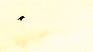 Михаил Лермонтов.   Желание