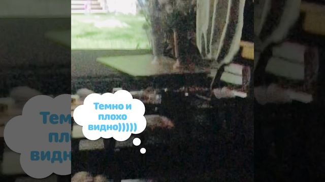 Детский сеанс