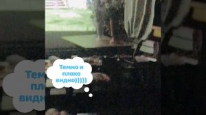 Детский сеанс