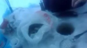 Бухта Андреева, Таганрог.mp4