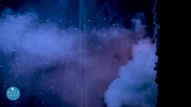 The DARK ANGELS of SNOWSHOW come out for Halloween. смотреть онлайн