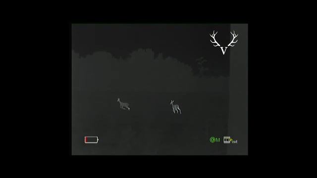 Xeye E3n Aufnahmen im Revier смотреть онлайн