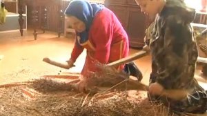 Процесс посадки и обработки льна - Отбивка семя льна (25)