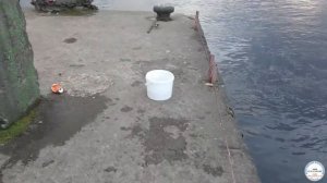 Открытие сезона 2021. Рыбалка на Неве.