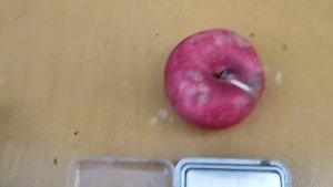 Инжирный нектарин Донат Очень сладкий