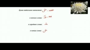 13 буква   Шин   арабского алфавита.