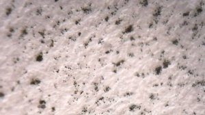 Такой бумагу я ещё не видел! Что скрывает микроскоп? Бумага под микроскопом.