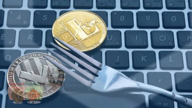 Форк криптовалют. Ключевые особенности