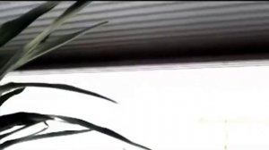 Симфония шторы плиссе с электроприводом!.mp4