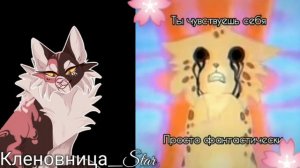 #7 утерянные файлы /Веснушка/коты воители