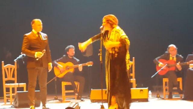 Zambra estrella morente Antonio Carbonell 2018 смотреть онлайн