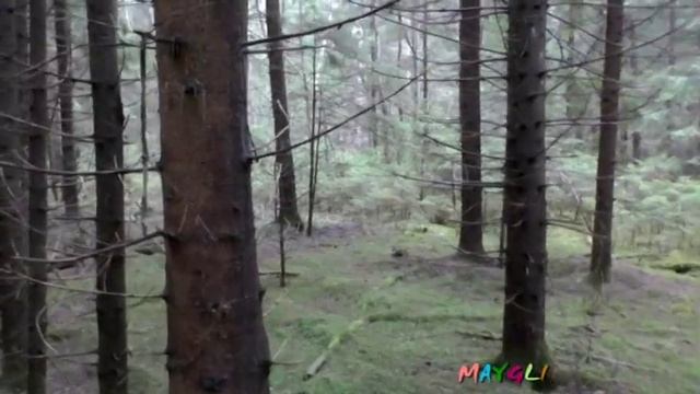 Ищу То, не знаю Что. смотреть онлайн