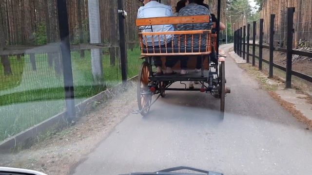 Экскурсия в парк копытных в Ярославском зоопарке