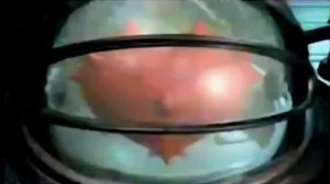 Xenia Seeberg - Heartbeat