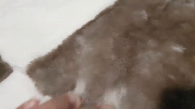 КОВЕР (ПЛЕД) ШАХМАТНЫЙ КОРИЧНЕВЫЙ С БЕЛЫМ ИЗ МУТОНА (КОД: 2810) смотреть онлайн