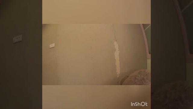 Срочная Продажа квартиры 85.3 кв.м. в СПБ, Шушары, Новгородский пр. дом 8. смотреть онлайн