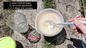 Даже дохлые огурцы, томаты, перцы вмиг пойдут в рост и не будут болеть, натуральная подкормка