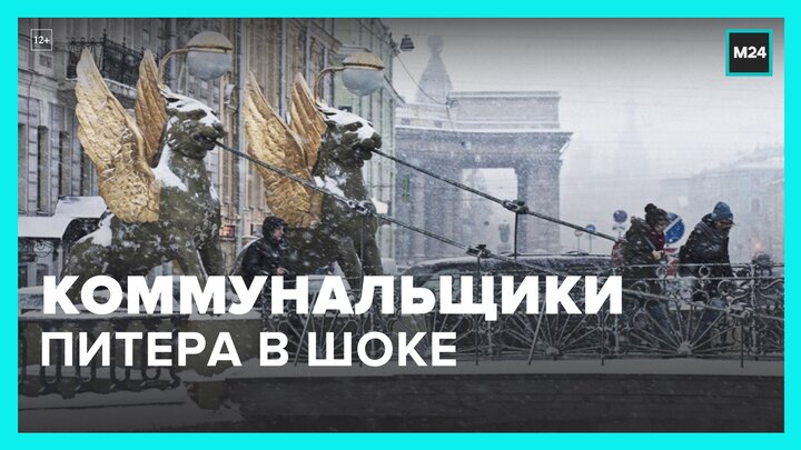 Снегопад накрыл Санкт-Петербург. Новости регионов - Москва 24