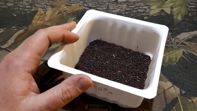 Рапс для рыбалки. Ароматизатор для карася, карпа и леща. смотреть онлайн