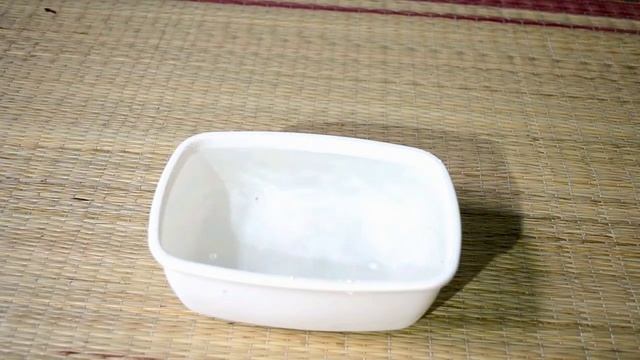 Slow motion video with nikon D3100 camera смотреть онлайн