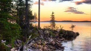 - Незваные гости совсем обнаглели:Ты сам своих родственников выгонишь или..Истории из жизни