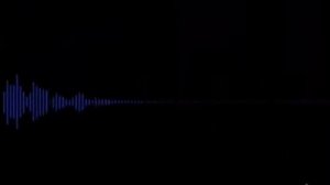 ЗВУКИ НА ДНЕ МАРИАНСКОЙ ВПАДИНЫ . ШОООК