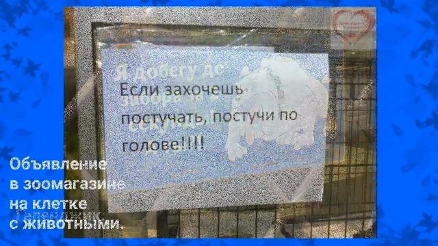 Не проходите мимо!.. Часть 3. Интересное и забавное вокруг нас. #простымисловами