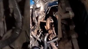 Двигатель Опель омега а 2.3 дизель тряпка во впускном колекторе это зло!