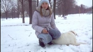 Собака не ест или плохо ест, только что то вкусное?